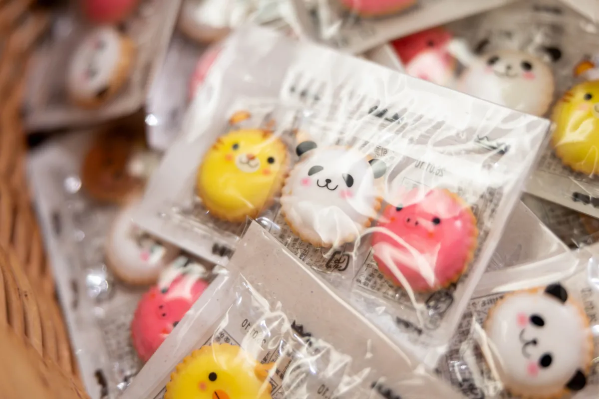 レポートギャラリー画像