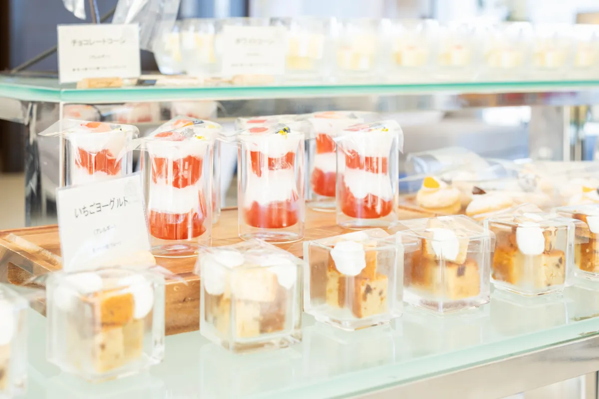 レポートギャラリー画像