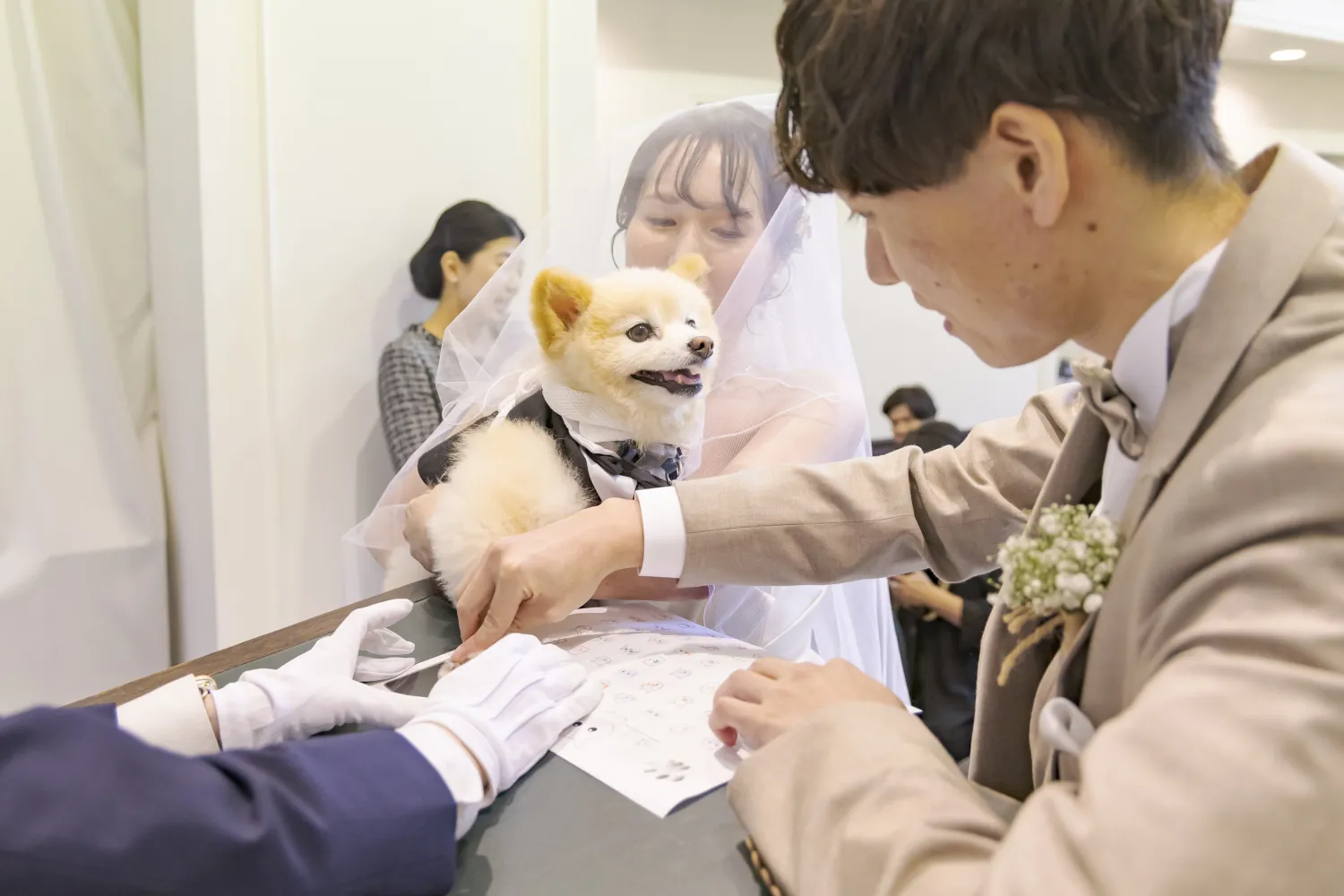 レポートギャラリー画像