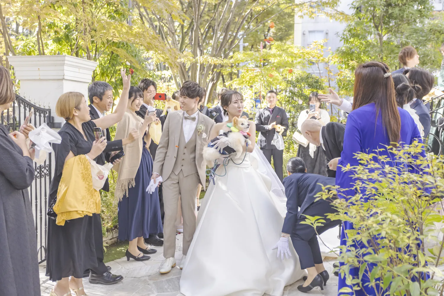 レポートギャラリー画像