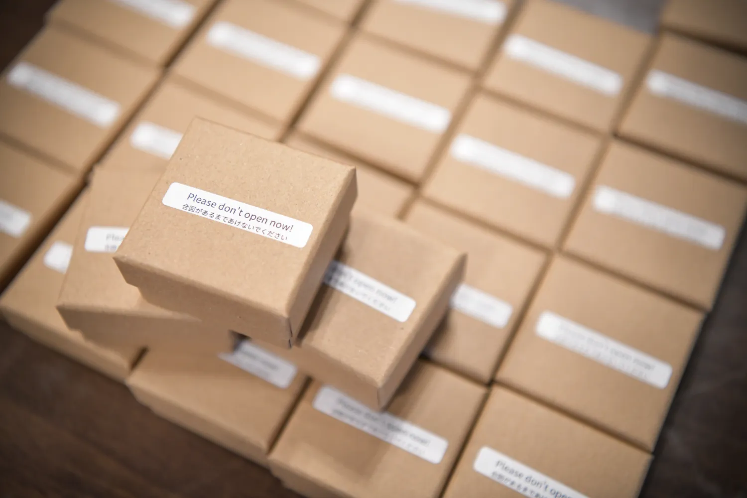 レポートギャラリー画像