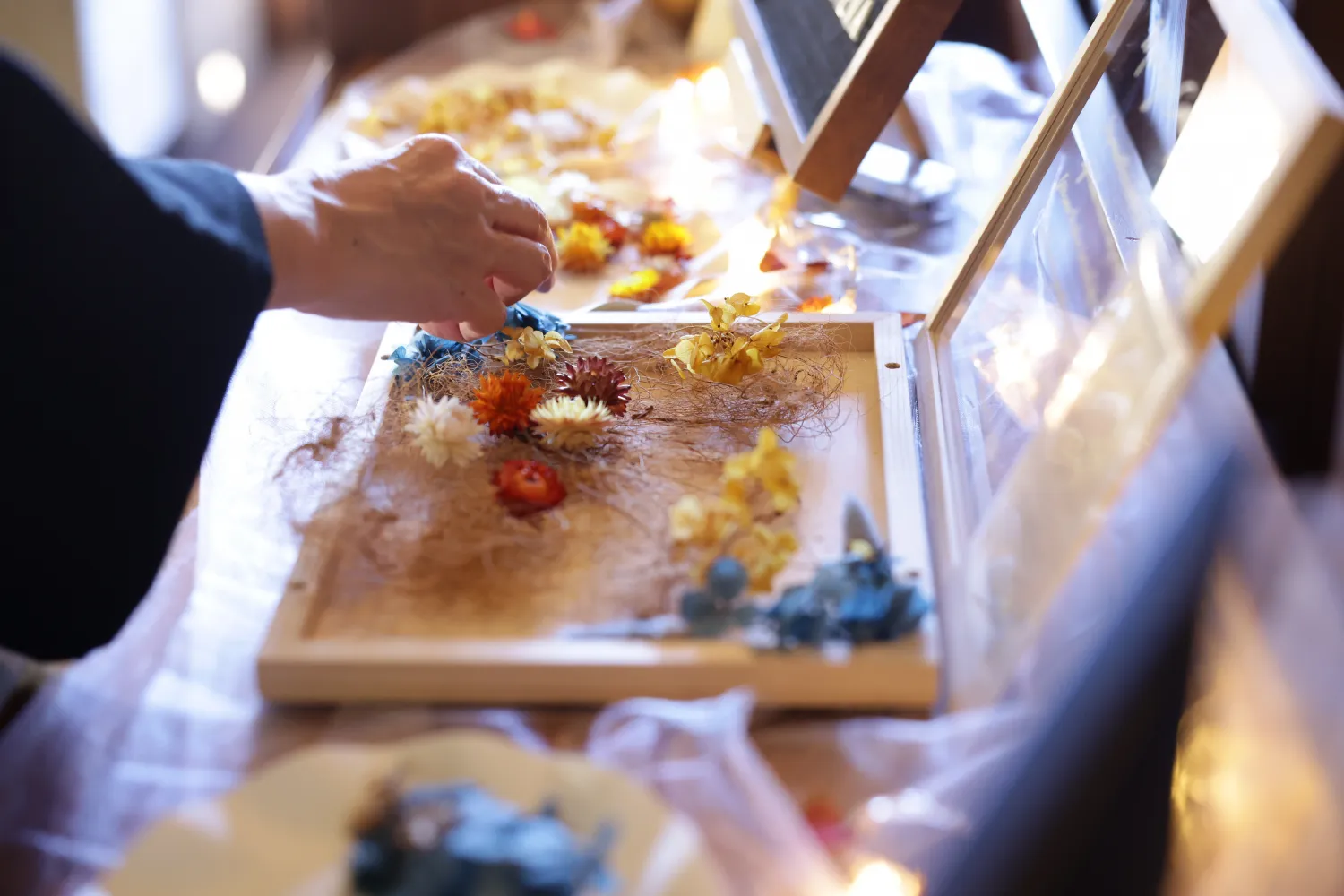 レポートギャラリー画像