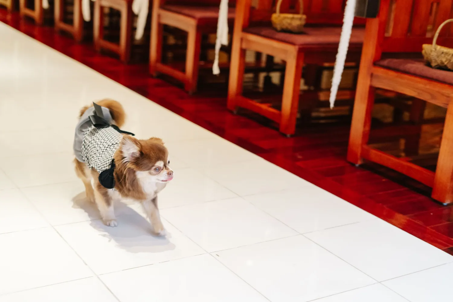 レポートギャラリー画像