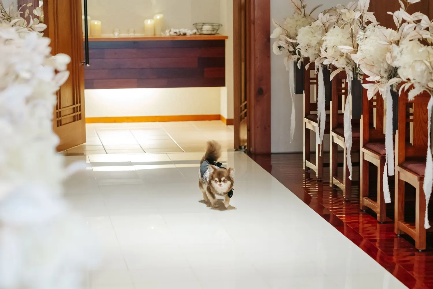 レポートギャラリー画像