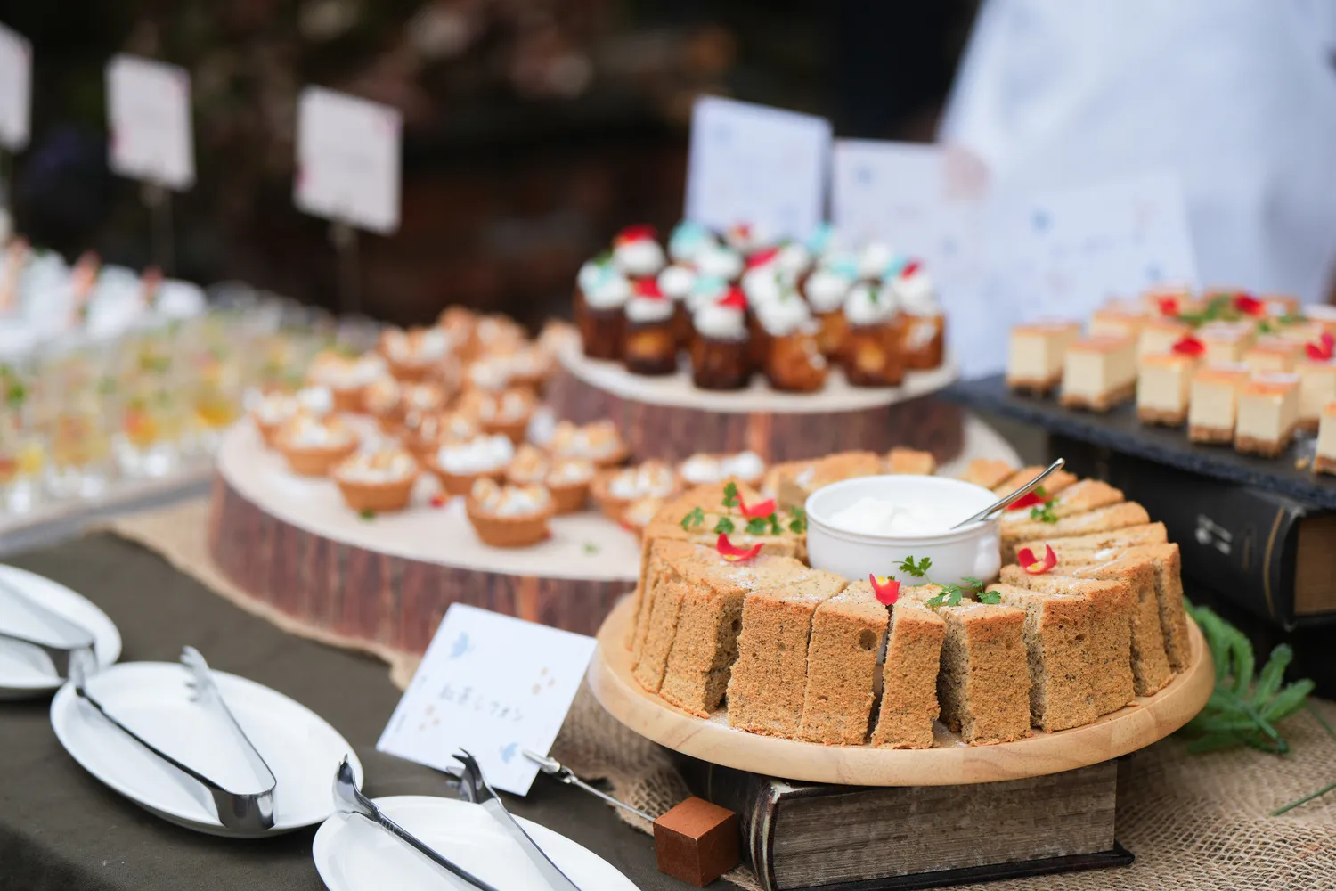 レポートギャラリー画像