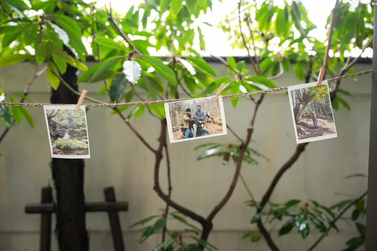 レポートギャラリー画像