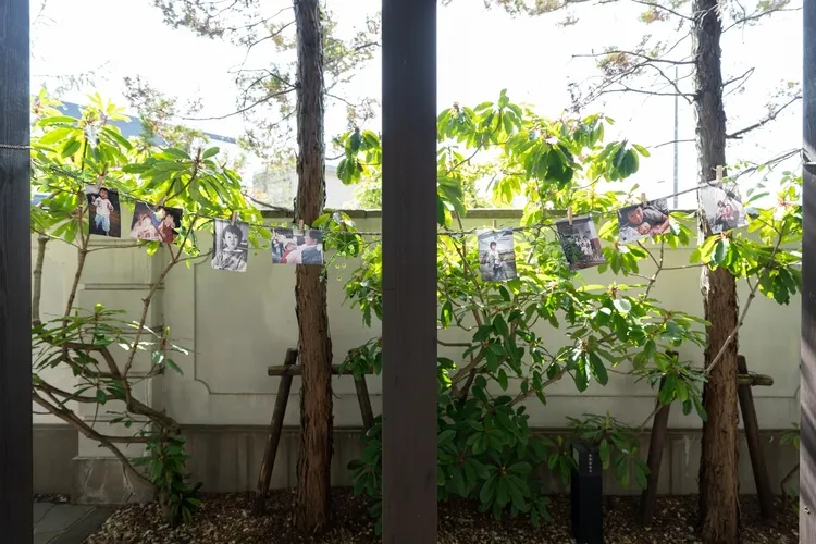 レポートギャラリー画像