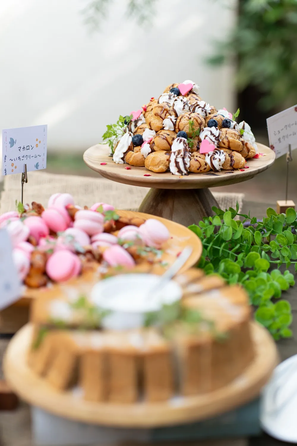 レポートギャラリー画像