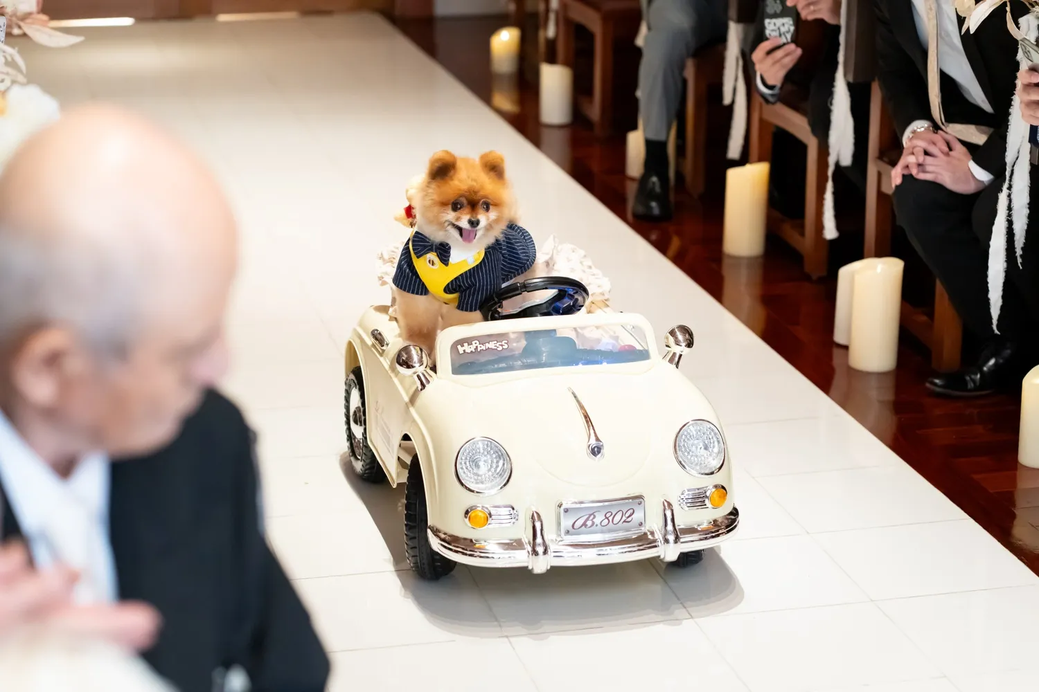 レポートギャラリー画像