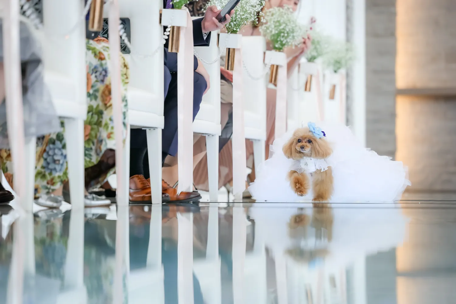 レポートギャラリー画像