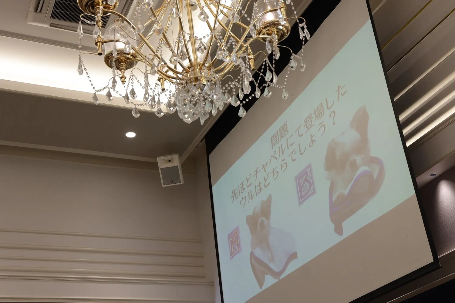 レポートギャラリー画像