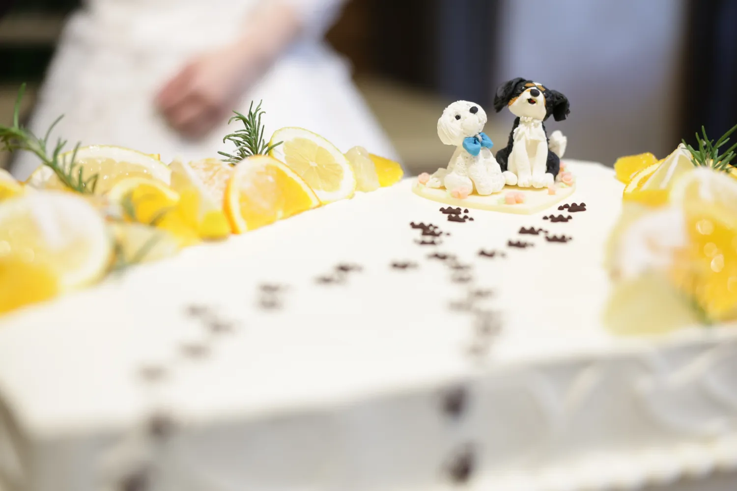 レポートギャラリー画像