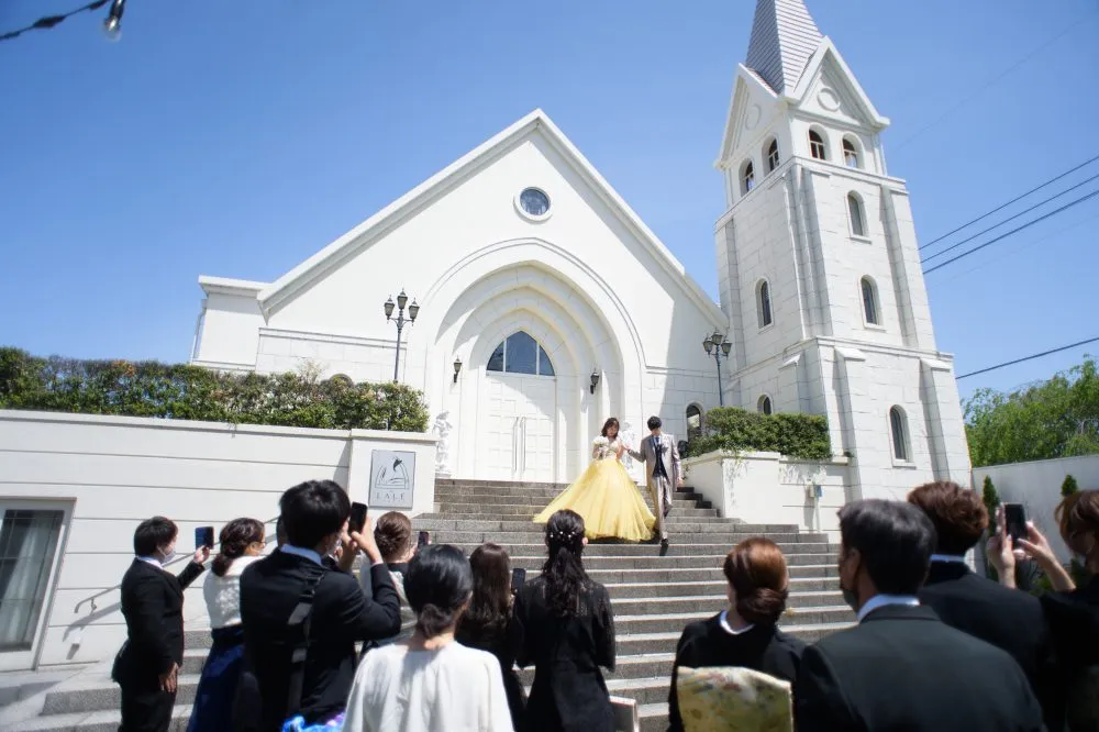 レポートギャラリー画像