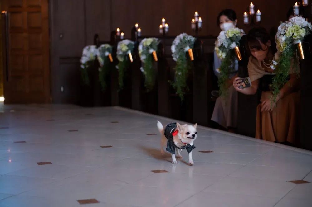 レポートギャラリー画像