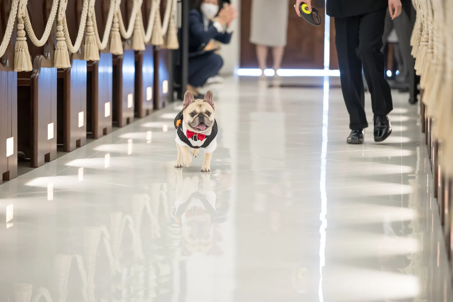 レポートギャラリー画像