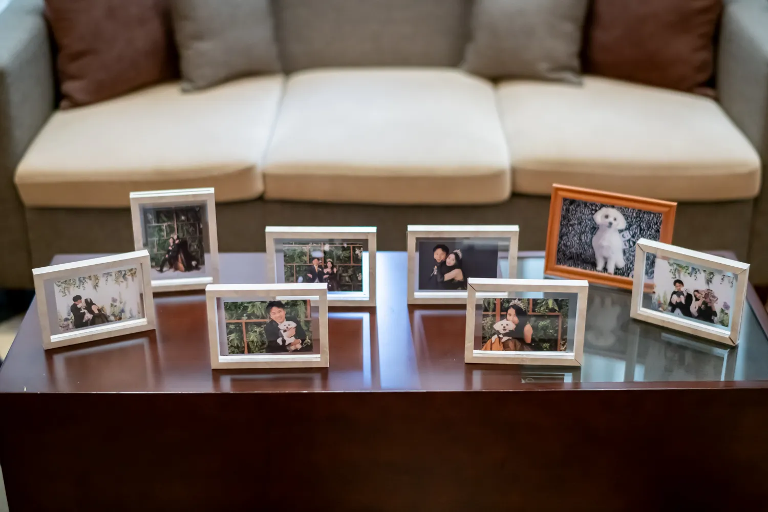 レポートギャラリー画像