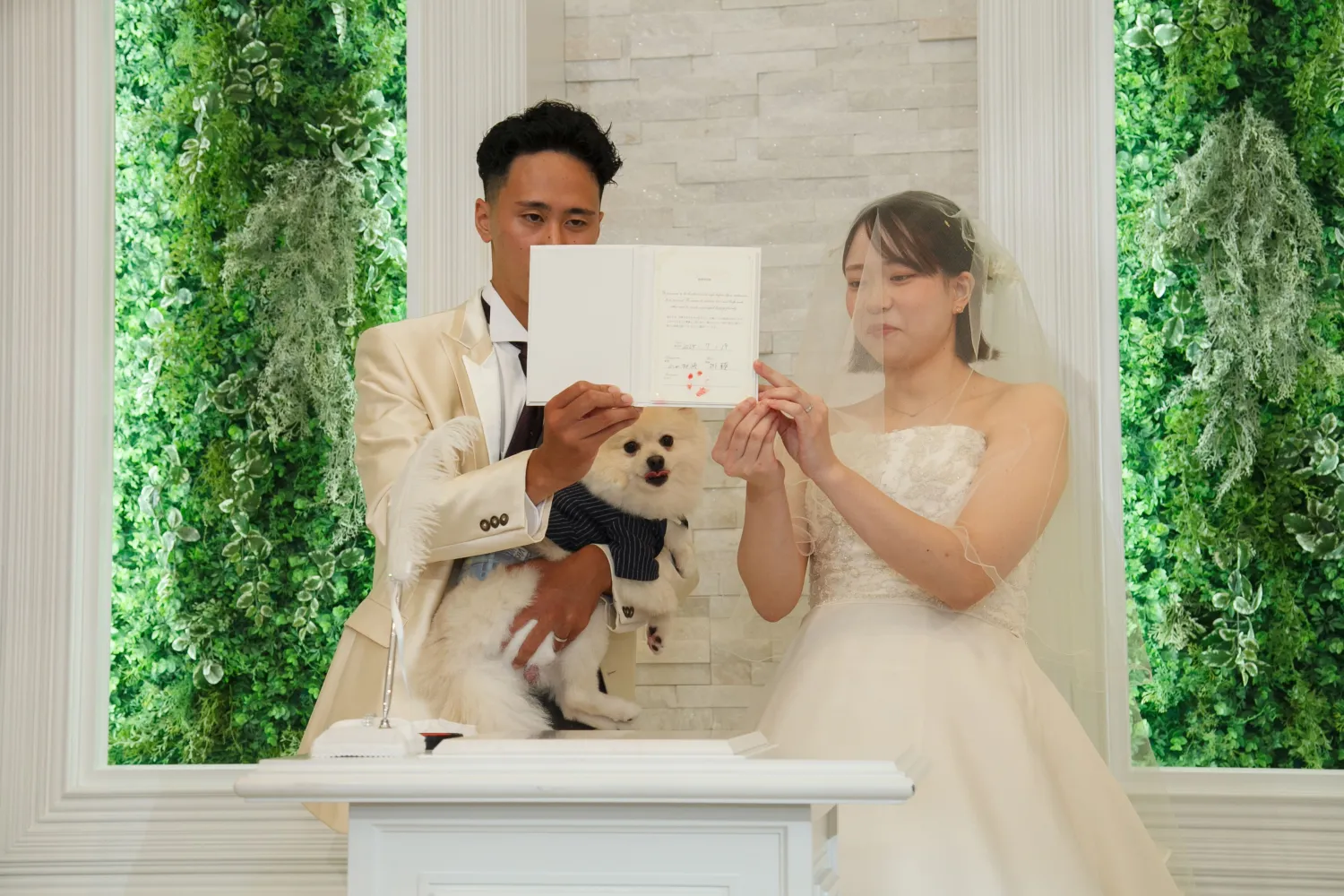 レポートギャラリー画像