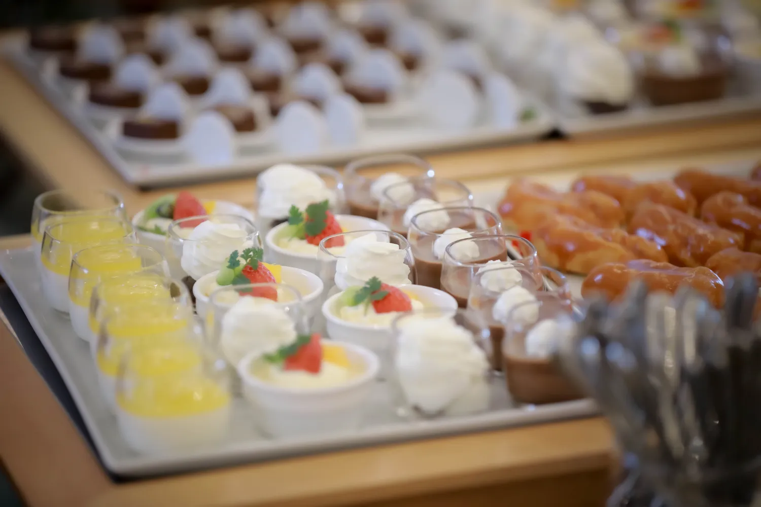 レポートギャラリー画像