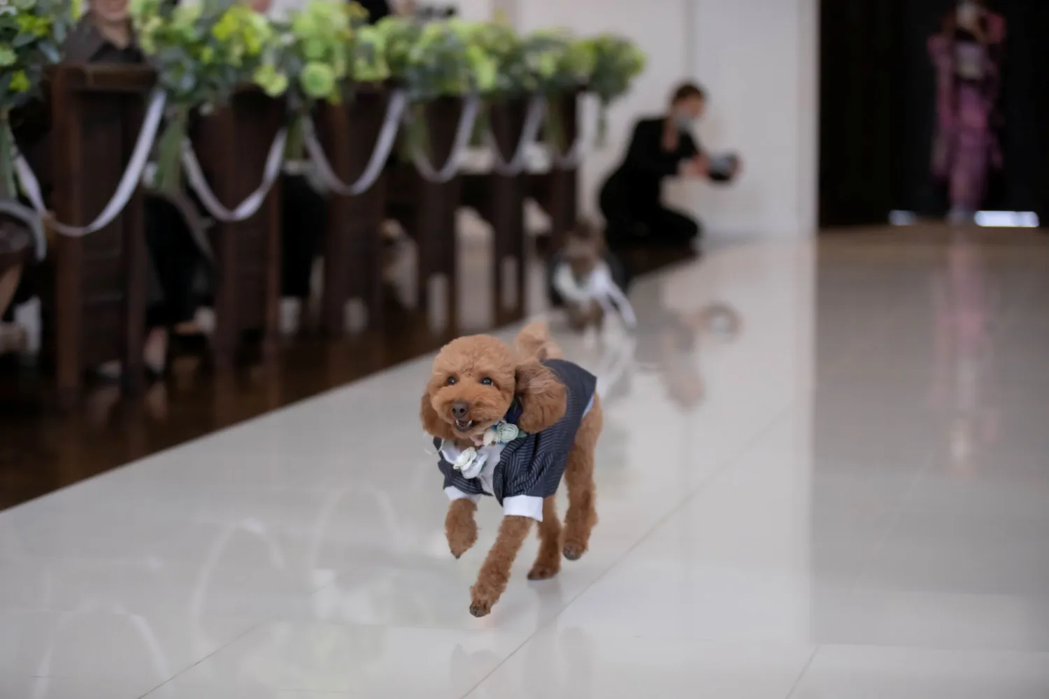 レポートギャラリー画像