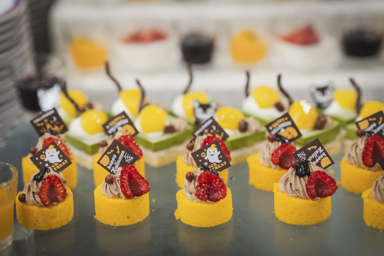 レポートギャラリー画像