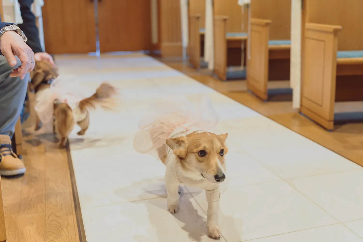 レポートギャラリー画像