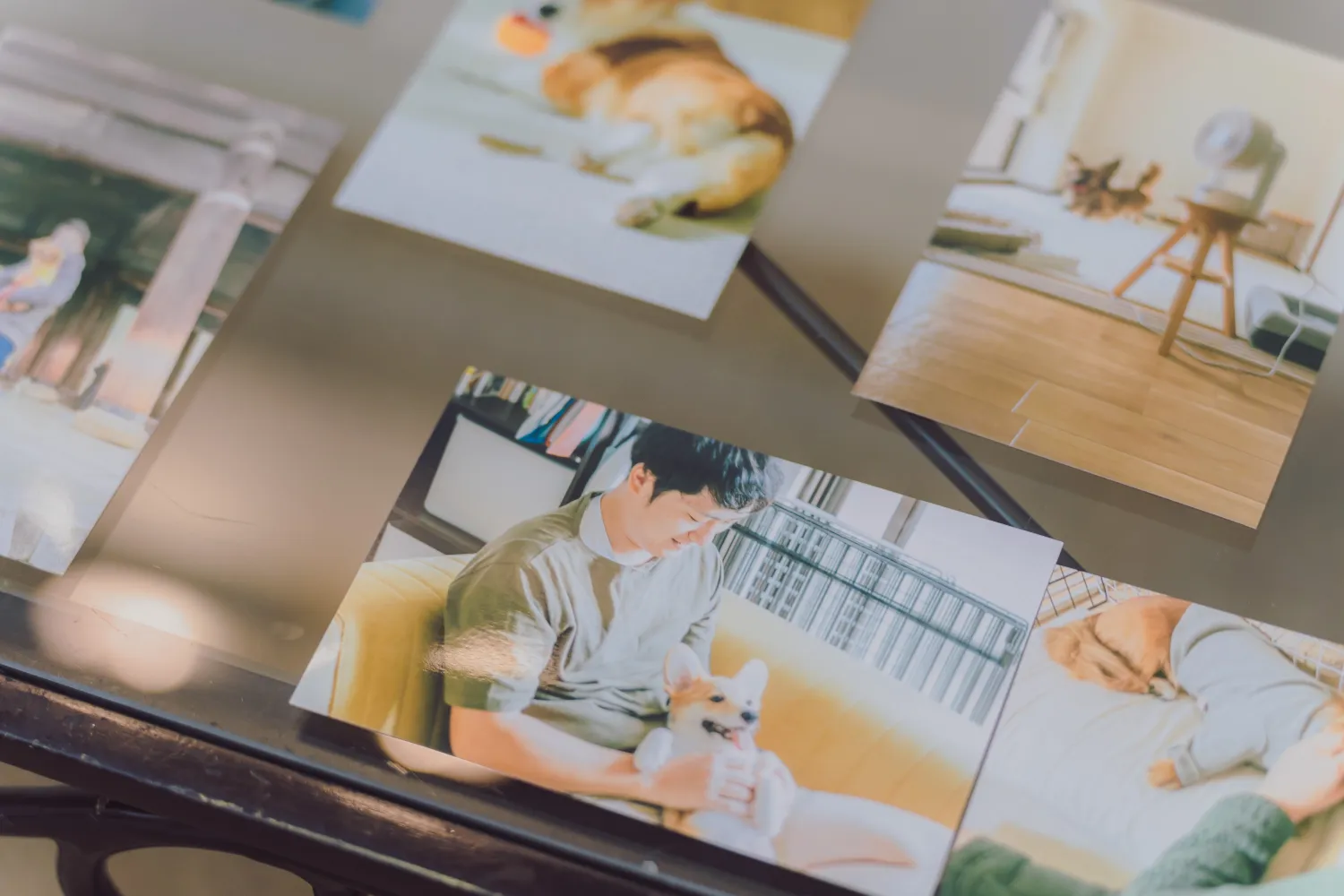 レポートギャラリー画像